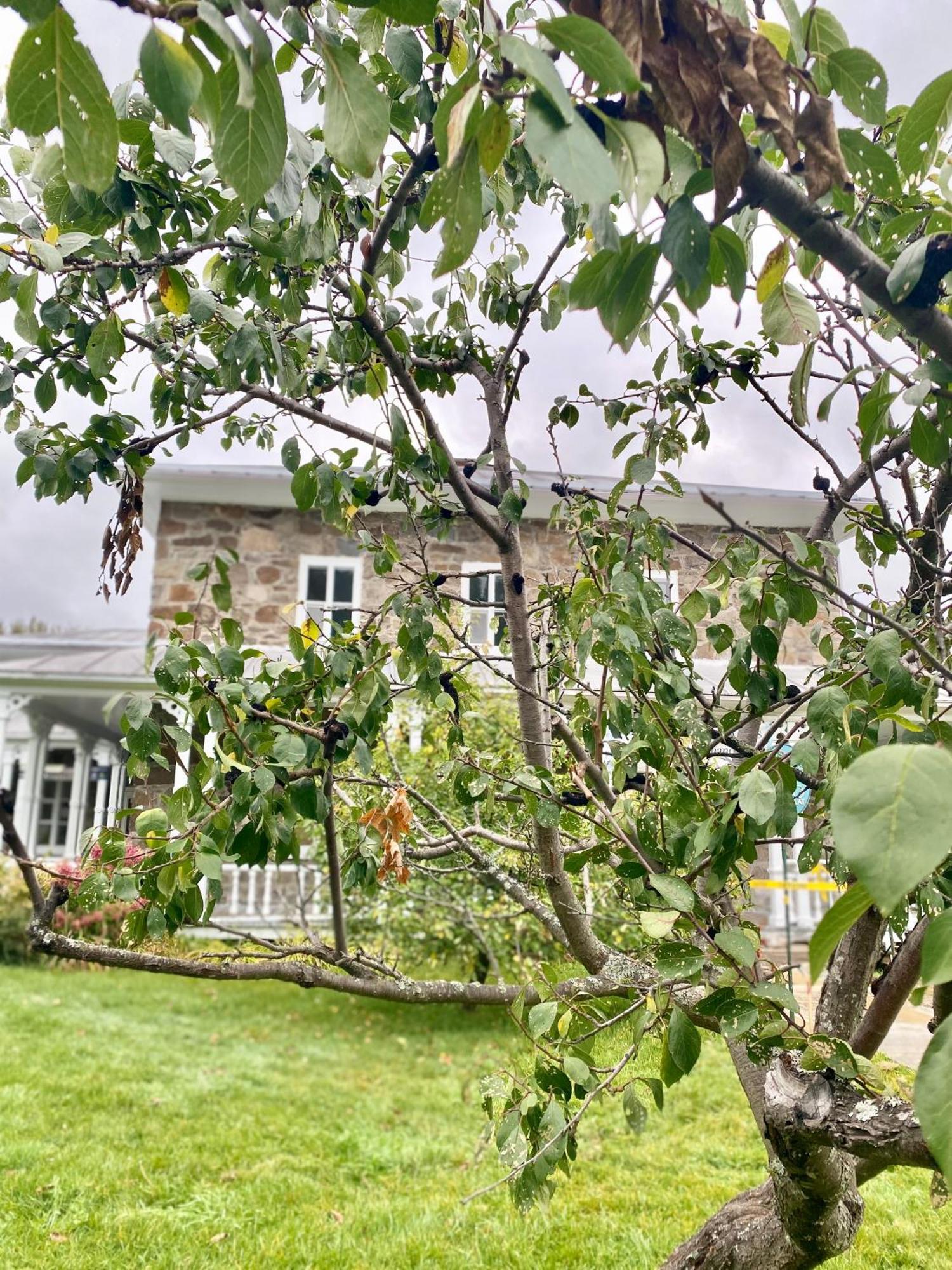 Belle Maison Avec Vue Sur La Riviere Holiday home
